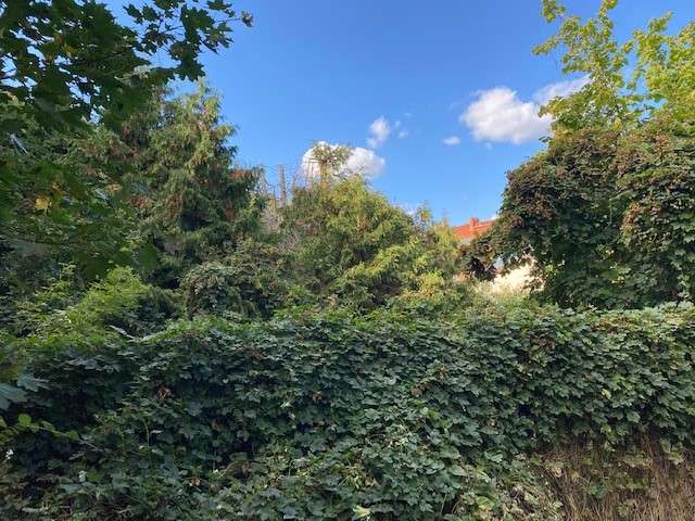  قطعة أرض في Franzosisch Buchholz, Germany رقم 11636