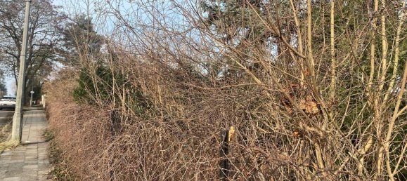 قطعة أرض في Franzosisch Buchholz, Germany رقم 11636 3