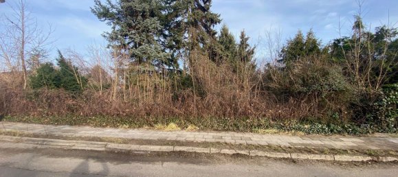 قطعة أرض في Franzosisch Buchholz, Germany رقم 11636 11