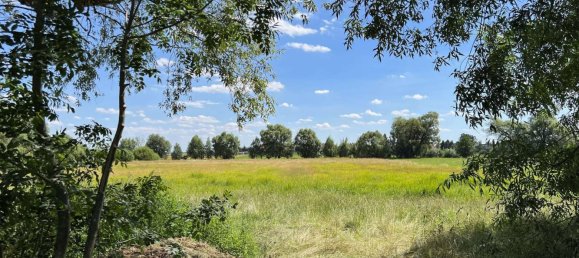 4 Schlafzimmer Wohnung in Nordsachsen, Germany, Nr. 343859 8