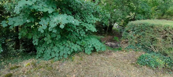 Дом с 3 спальнями в Мортань-сюр-Севр, Франция № 303599 7