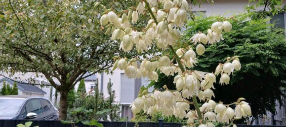 2 bedrooms Townhouse in Wartenberg, Germany No. 241912 2