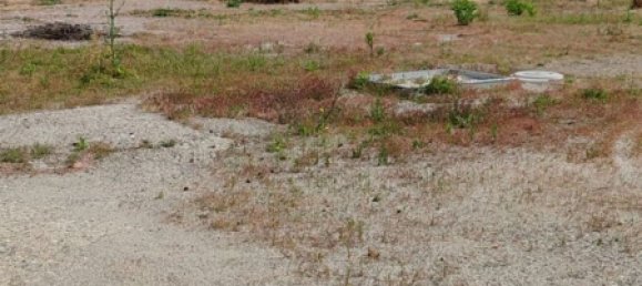 Lagerhaus in Venetico, Italy 3000m², Nr. 126082 7