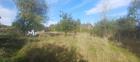 Ферма с 3 спальнями в Амберг-Зульцбах, Германия № 352762 6