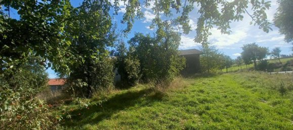 Ферма с 3 спальнями в Амберг-Зульцбах, Германия № 352762 16