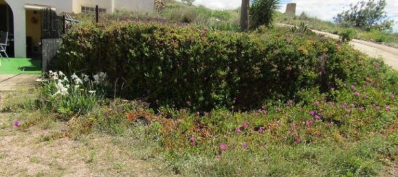 3 غرف نوم منزل في La Romana, Spain رقم 98181 27