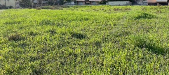 1051m² Land in Novafeltria, Italy No. 175190 3