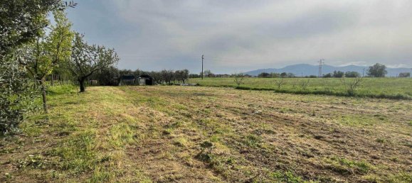 Casa de 10 habitaciónes en Montecarlo, Italy No. 12638 10