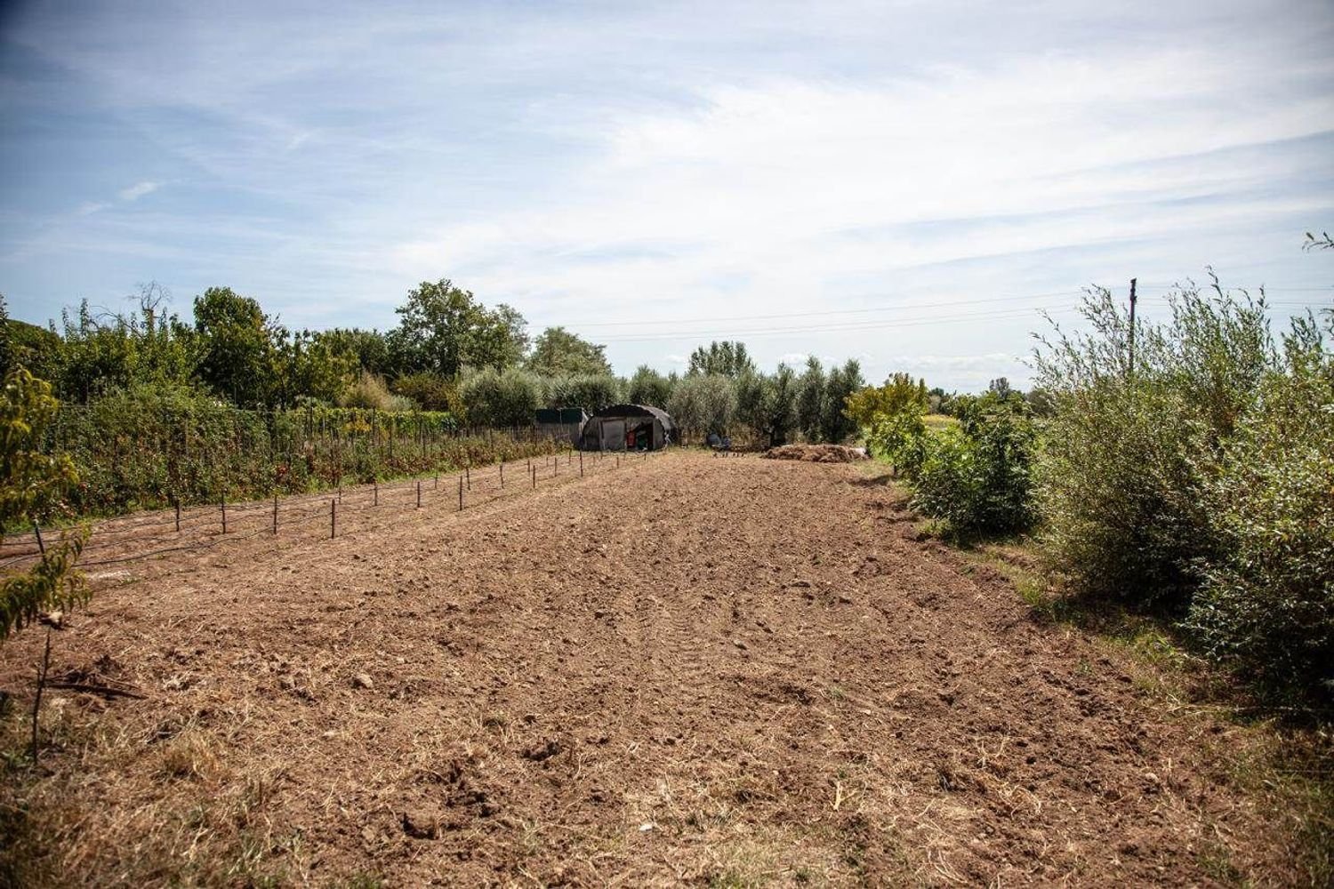 Casa de 10 habitaciónes en Montecarlo, Italy No. 12638