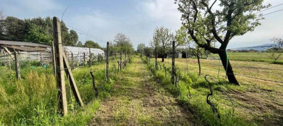 Casa de 10 habitaciónes en Montecarlo, Italy No. 12638 15