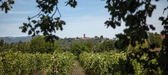 Casa de 10 habitaciónes en Montecarlo, Italy No. 12638 9