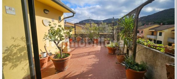 3 غرف نوم بانتهاوس في Livorno, Italy رقم 90219 4