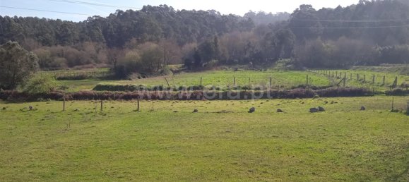 Land in Antas, Portugal No. 190498 5