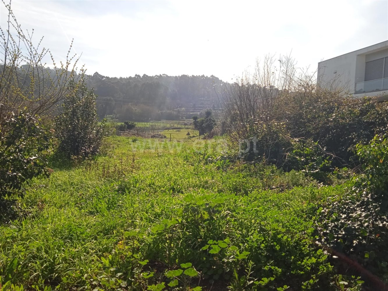  Land in Antas, Portugal No. 190498