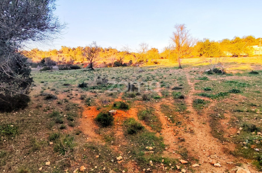  قطعة أرض في Silves, Portugal رقم 71553