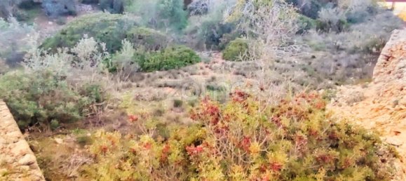 قطعة أرض في Silves, Portugal رقم 71553 12