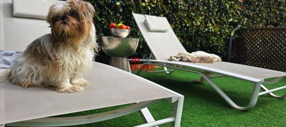 Apartamento T2 em Zanica, Italy N.º 170406 9