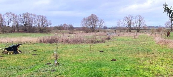 5 Schlafzimmer Schlösser in Brandenburg, Germany, Nr. 35963 10