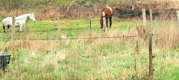 5 Schlafzimmer Schlösser in Brandenburg, Germany, Nr. 35963 11