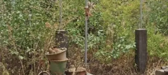 12 chambres Maison à Monovar, Spain No. 174737 7