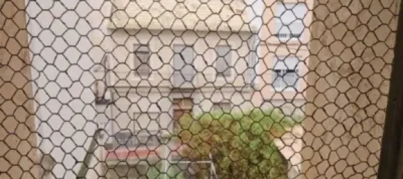 12 chambres Maison à Monovar, Spain No. 174737 36