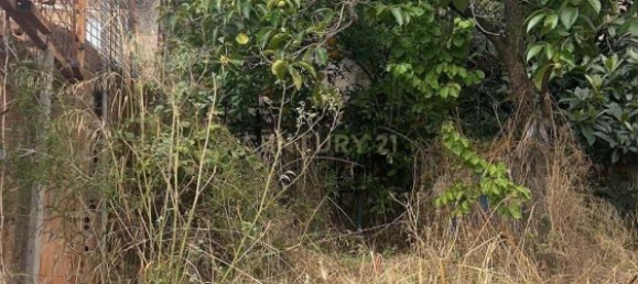 Terrain à Polinya, Spain 443m² No. 133926 2