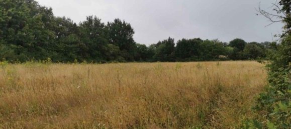  Land in Martinet, France No. 62024 4