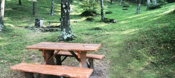 4-Zimmer Haus in Trarego Viggiona, Italy, Nr. 50762 10