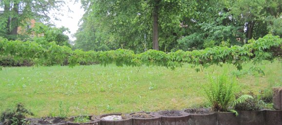 2-Zimmer Wohnung in Ilm-Kreis, Germany, Nr. 45075 3