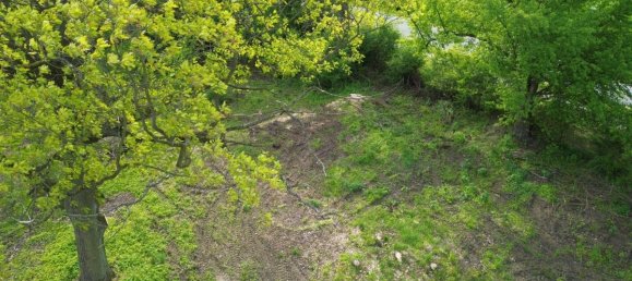 Grundstück in Märkisch-Oderland, Germany, Nr. 58050 5