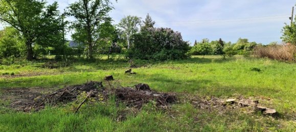 Grundstück in Märkisch-Oderland, Germany, Nr. 58050 3