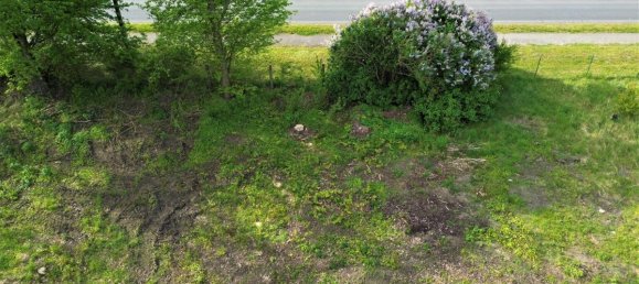 Grundstück in Märkisch-Oderland, Germany, Nr. 58050 4