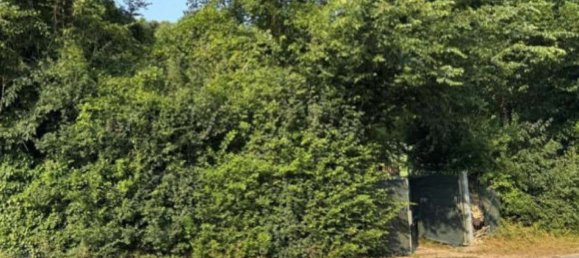 1 bedroom House in Castelgomberto, Italy No. 340269 10