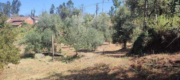 Casa T2 em Pousaflores, Portugal N.º 158319 30