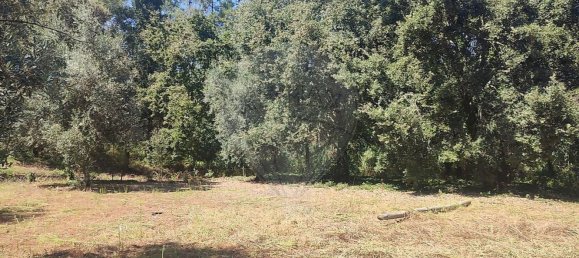 Casa T2 em Pousaflores, Portugal N.º 158319 31