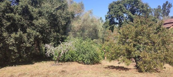 Casa T2 em Pousaflores, Portugal N.º 158319 26