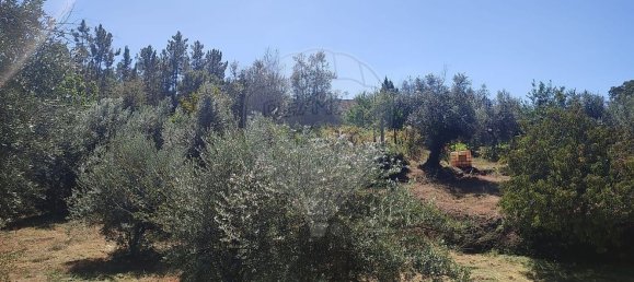 Casa T2 em Pousaflores, Portugal N.º 158319 22