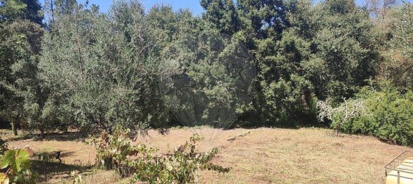 Casa T2 em Pousaflores, Portugal N.º 158319 32