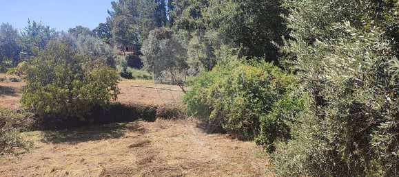 Casa T2 em Pousaflores, Portugal N.º 158319 23