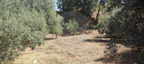 Casa T2 em Pousaflores, Portugal N.º 158319 29