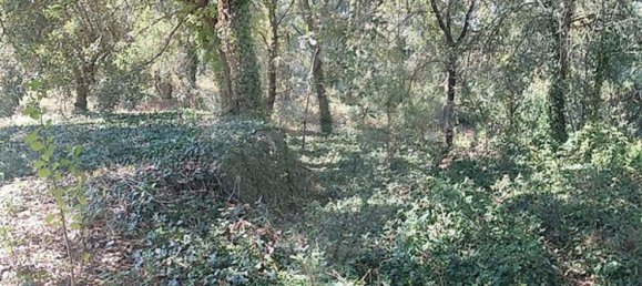 Casa T2 em Pousaflores, Portugal N.º 158319 19