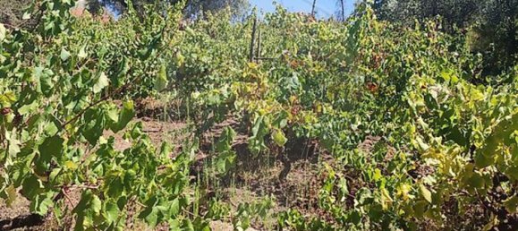 Casa T2 em Pousaflores, Portugal N.º 158319 24