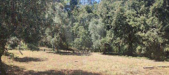 Casa T2 em Pousaflores, Portugal N.º 158319 27