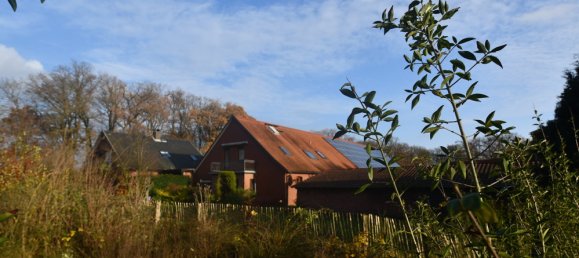 15 rooms Farm in Diepholz, Germany No. 171818 9