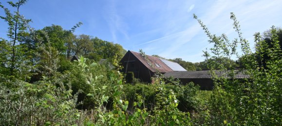 15 rooms Farm in Diepholz, Germany No. 171818 21