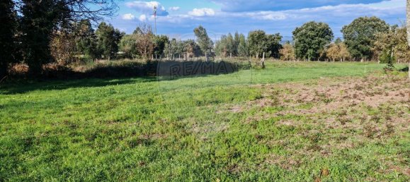 Дом с 2 спальнями в Санту Тирсу, Португалия № 19202 5