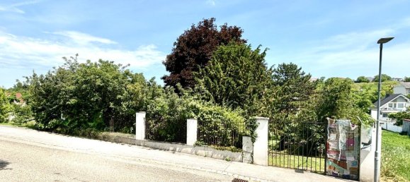 81m² Land in Neusiedl am See, Austria No. 137511 20