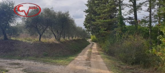 100m² Land in Montevarchi, Italy No. 230769 3