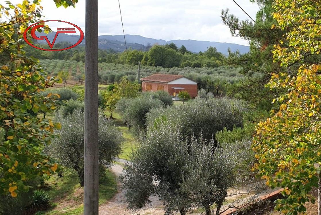 100m² Land in Montevarchi, Italy No. 230769