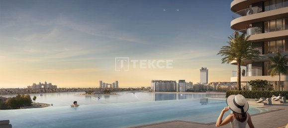 4 bedrooms Apartment in Dubai Harbour, UAE No. 43700 5